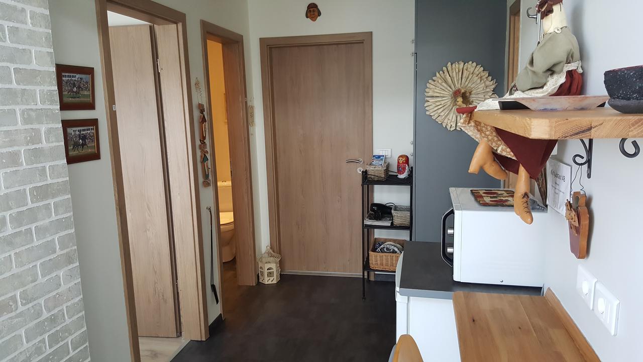 Hvita Husith, Kirkjubraut 48 Appartamento Höfn Esterno foto